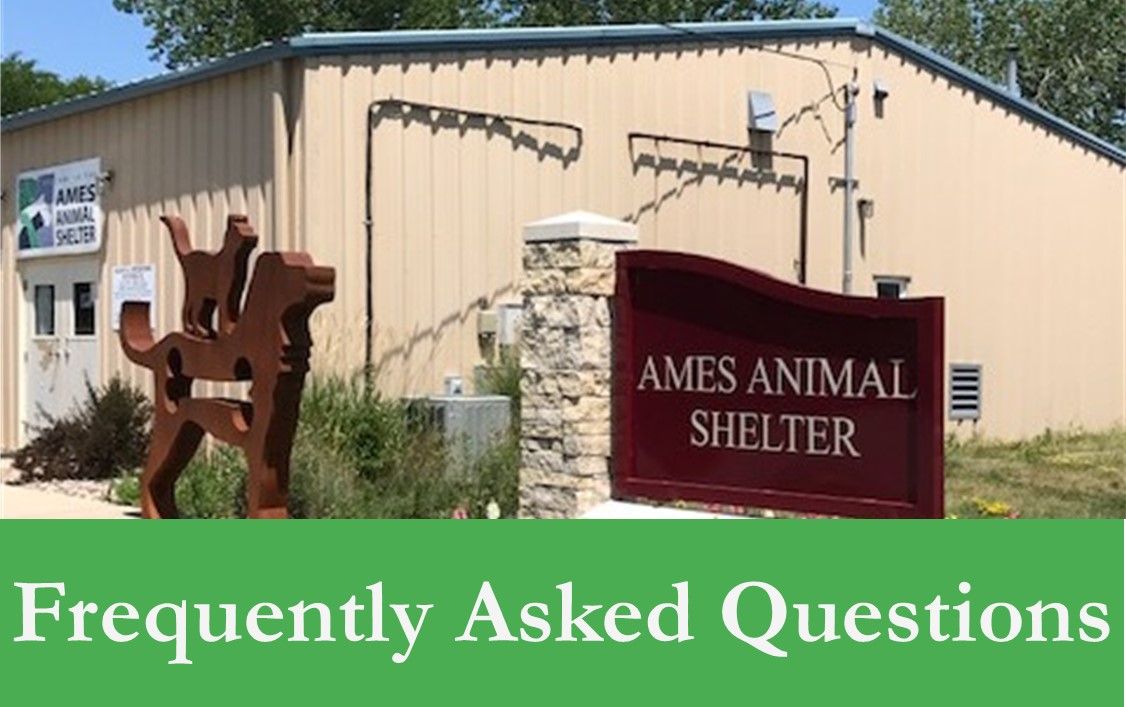 Frequently Asked Questions Banner Photo