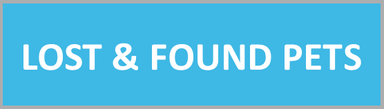Lost & Found Button
