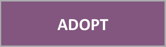 Adopt Button