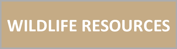 Wildlife Resources