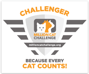 Million Cat Challenger Button