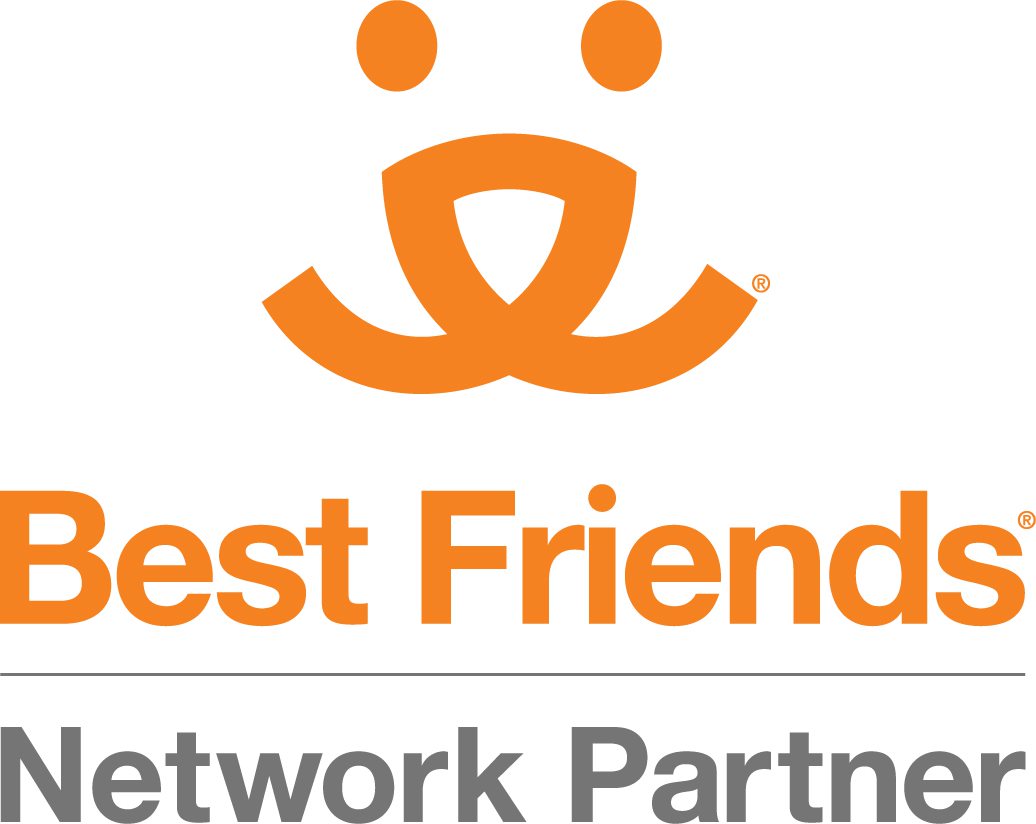 Best Friends Network Partner Buton