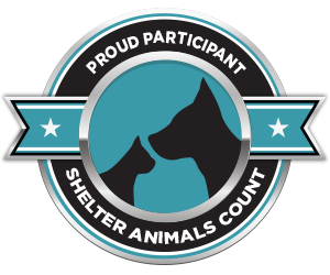 Shelter Animals Count