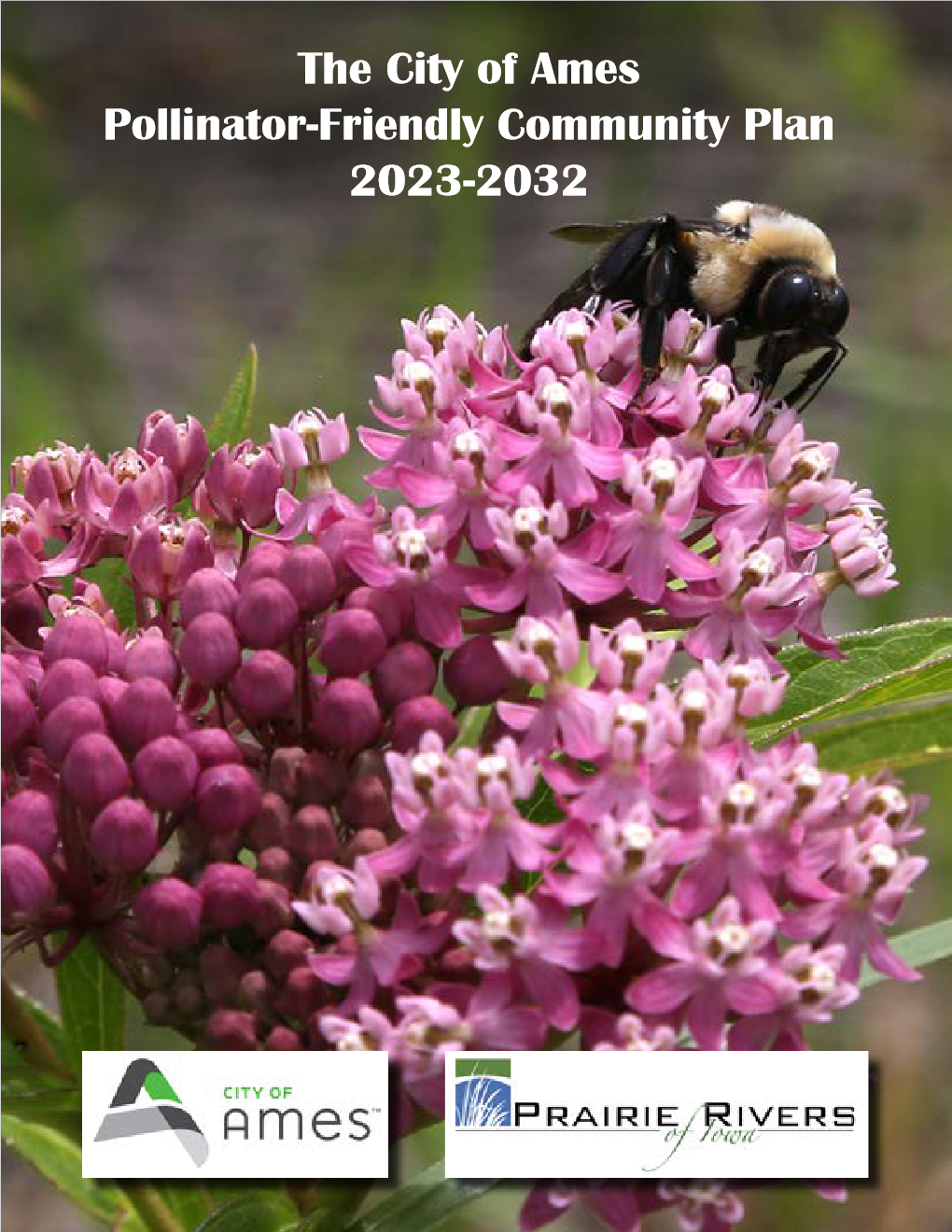 Screenshot 2023-06-28 at 15-03-32 The City of Ames Pollinato.pdf