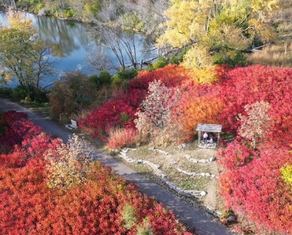 Trail at Ada Hayden Park