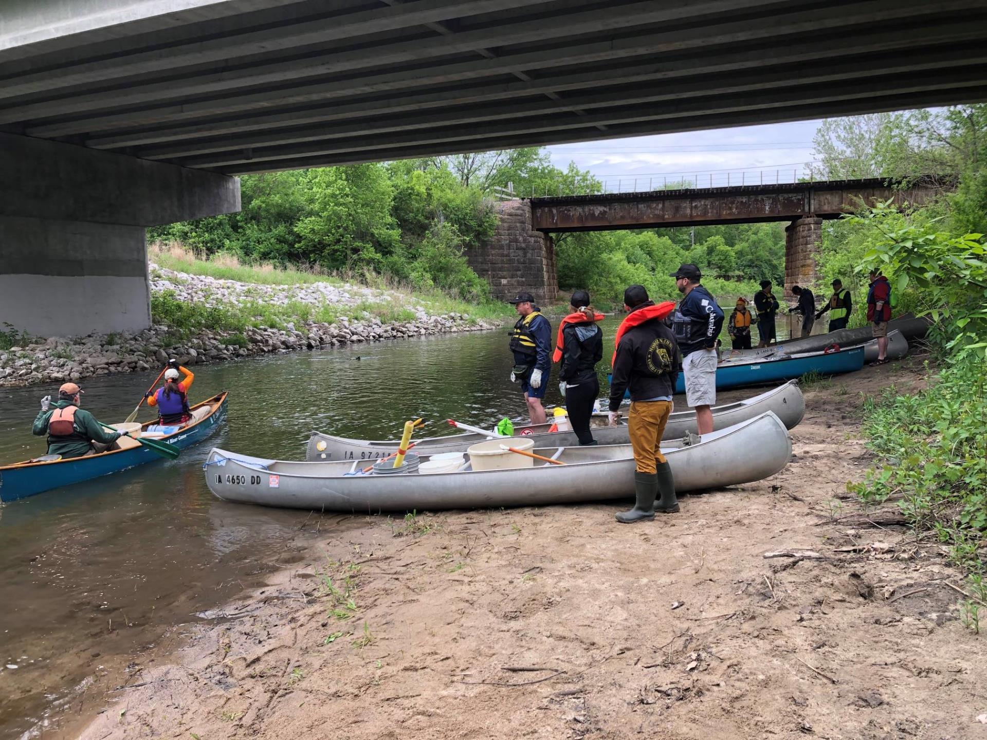 Volunteers cleaning up a sream